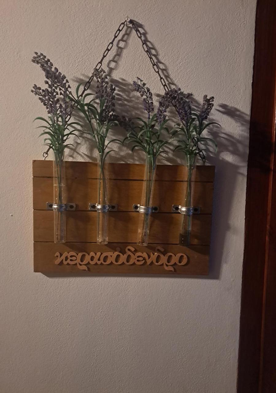 בית הארחה Alona 	To Apokentro מראה חיצוני תמונה